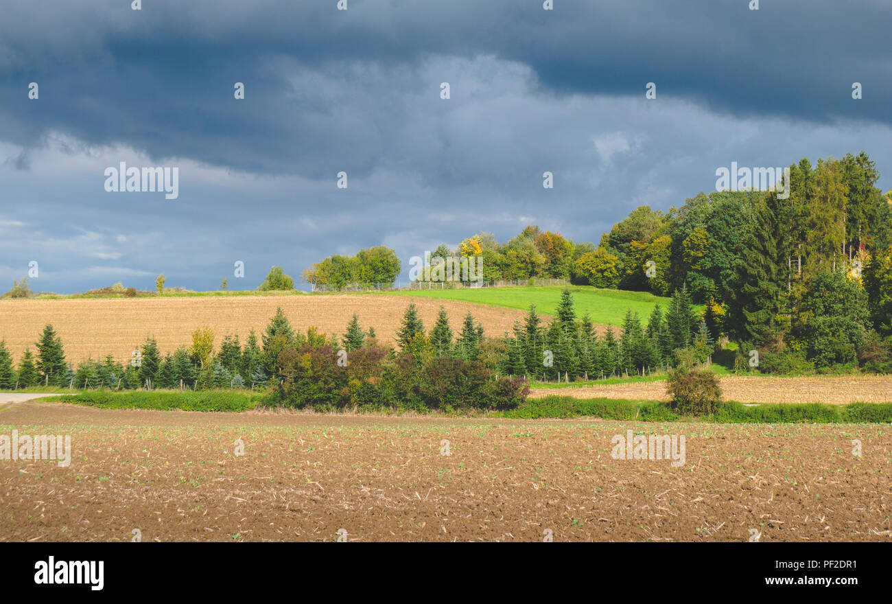 Autumn landscape with colorful trees and storm clouds and fields Stock ...