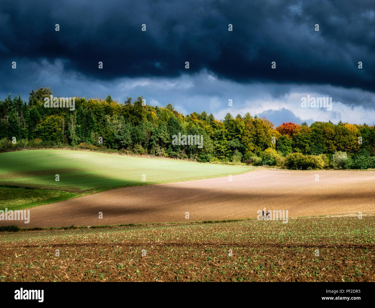 Autumn landscape with colorful trees and storm clouds and fields Stock ...