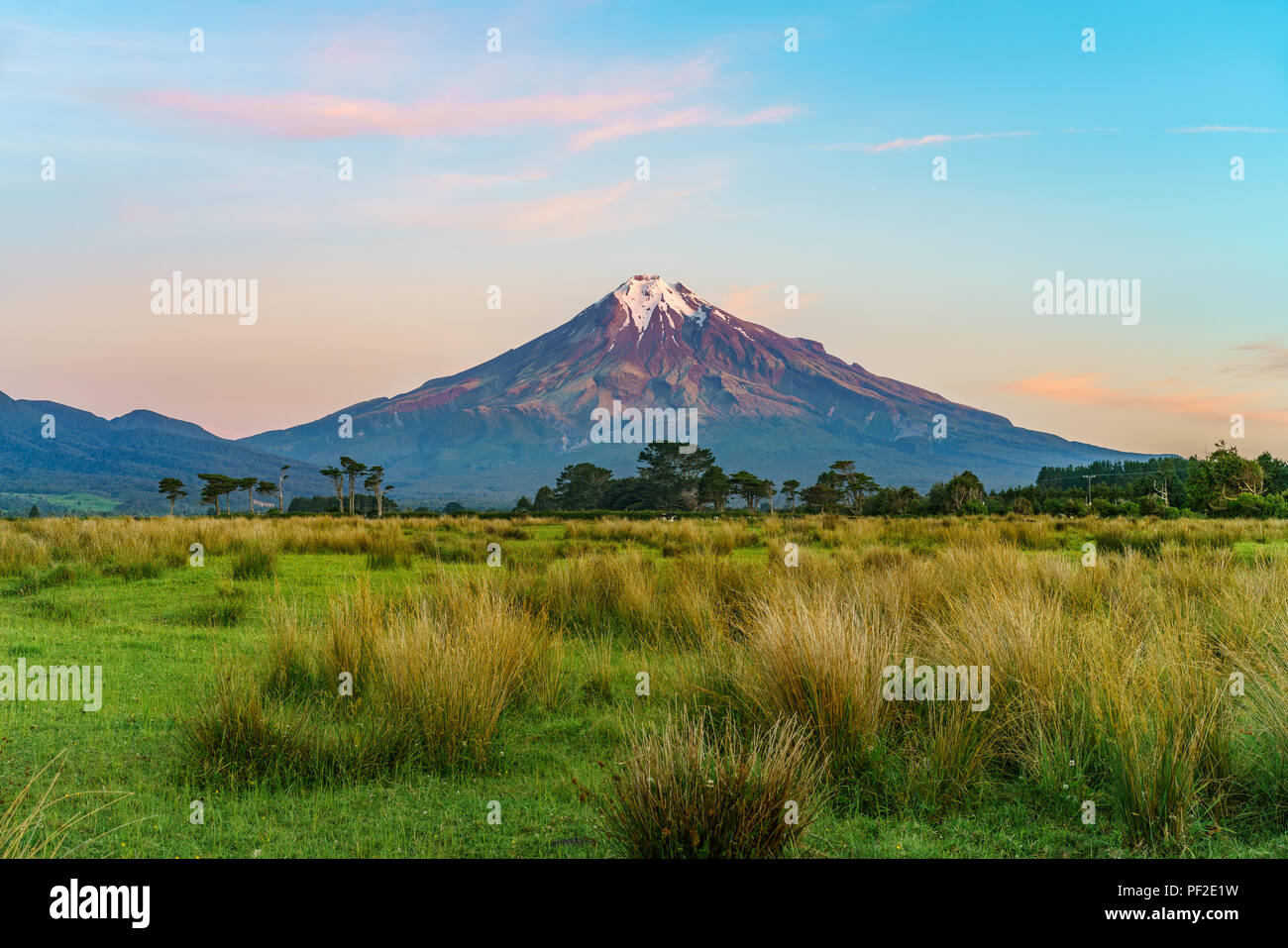 lush grass,trees and the cone volcano mount taranaki, new zealand Stock Photo