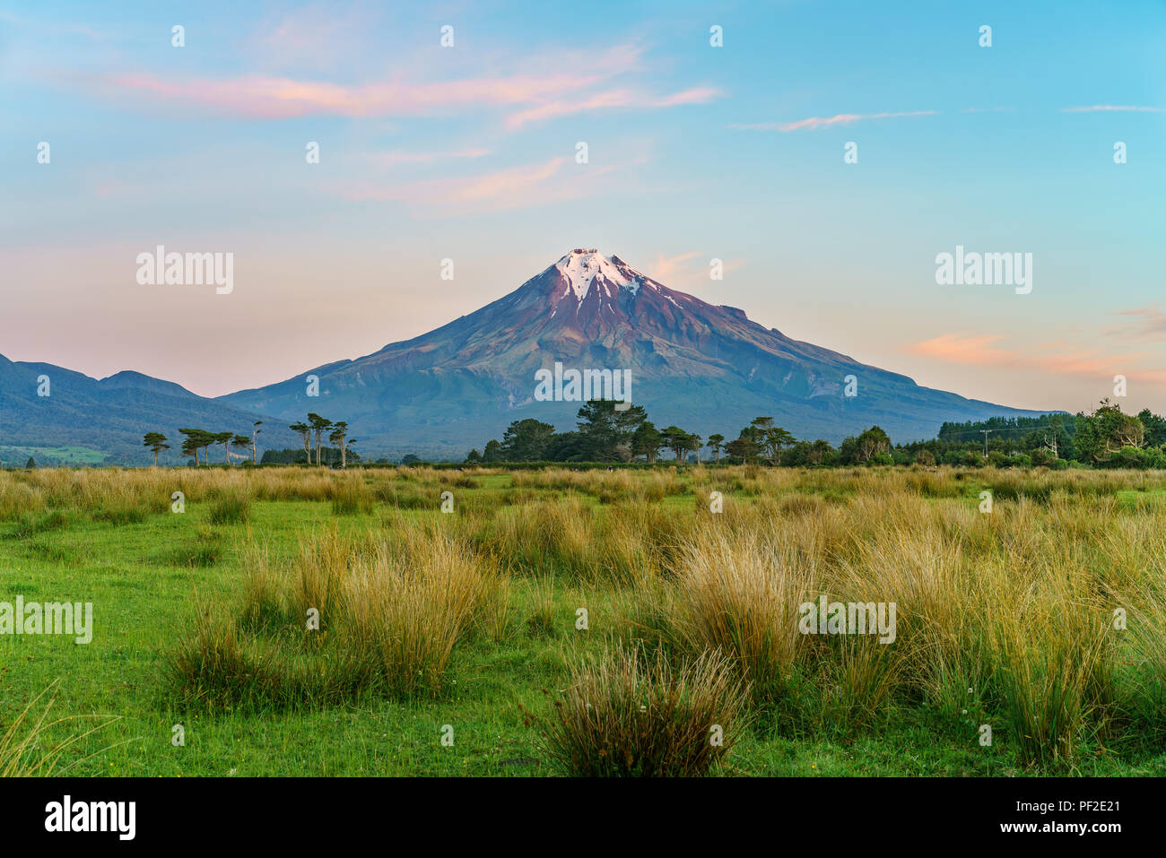 lush grass,trees and the cone volcano mount taranaki, new zealand Stock Photo