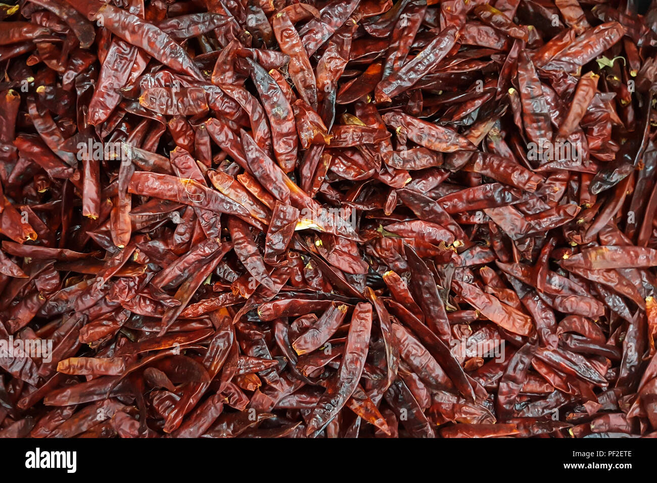 Chilli Plant Display High Resolution Stock Photography and Images - Alamy