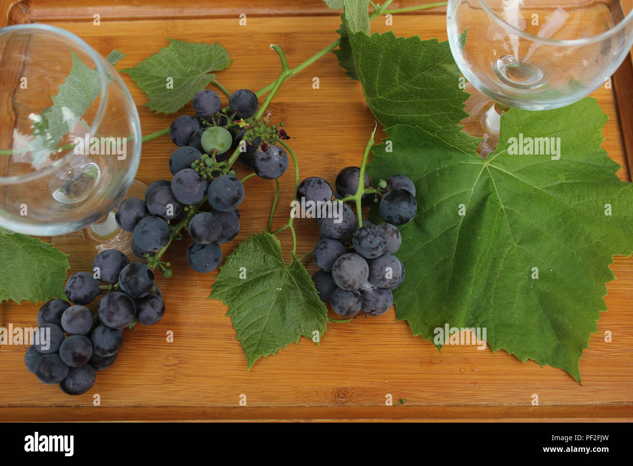 Still life - two empty wine glasses, blue grapes and leaves arranged on a wooden tray Stock Photo