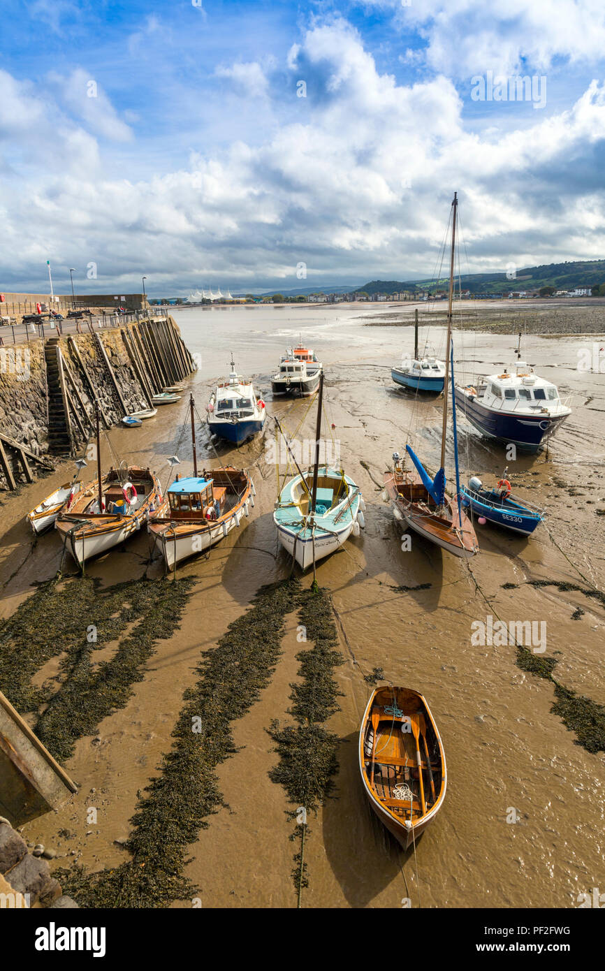 Low Water And Colourful Boats In The Historic Minehead Harbour On The low-water-and-colourful-boats-in-the-historic-minehead-harbour-on-the