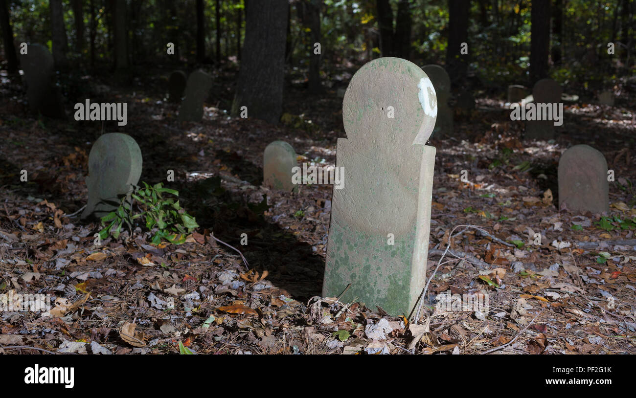 Old and abandoned cemetery and tombstones in North Carolina Stock Photo