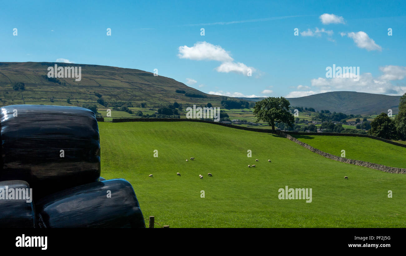 Silage bales in Wensleydale, Yorkshire Dales Stock Photo