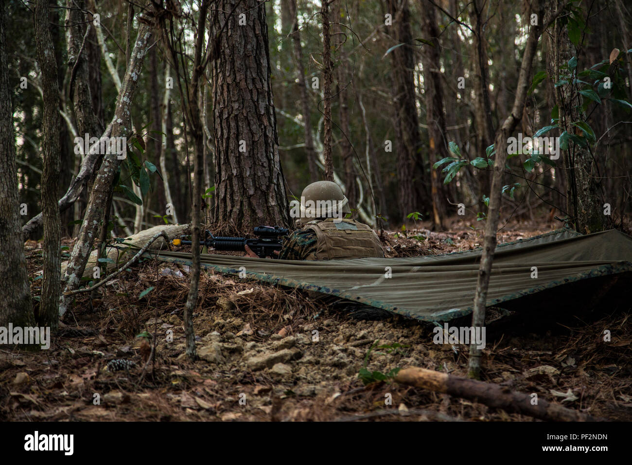 A U.S. Navy Corpsman assigned to Field Medical Training Battalion East (FMTB-E), provides security during a final exercise (FINEX) at Camp Johnson, N.C., Feb. 29, 2016. FINEX is a culminating event at FMTB-E which transitions Sailors into the Fleet Marine Force. (U.S. Marine Corps photo by Sgt. James R. Skelton/Released) Stock Photo
