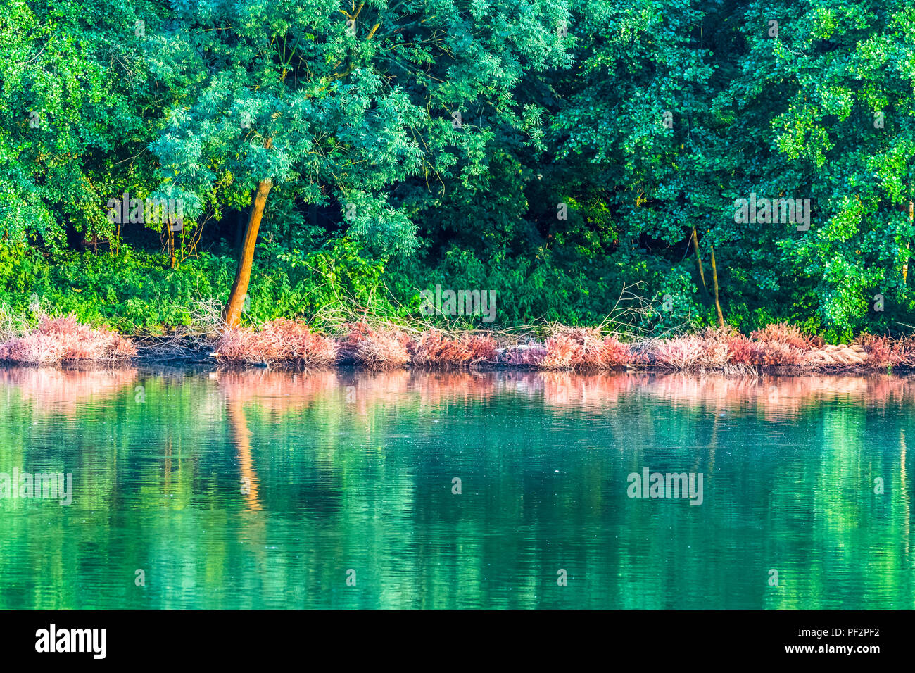 Reflecting in the water surface hi-res stock photography and images - Alamy