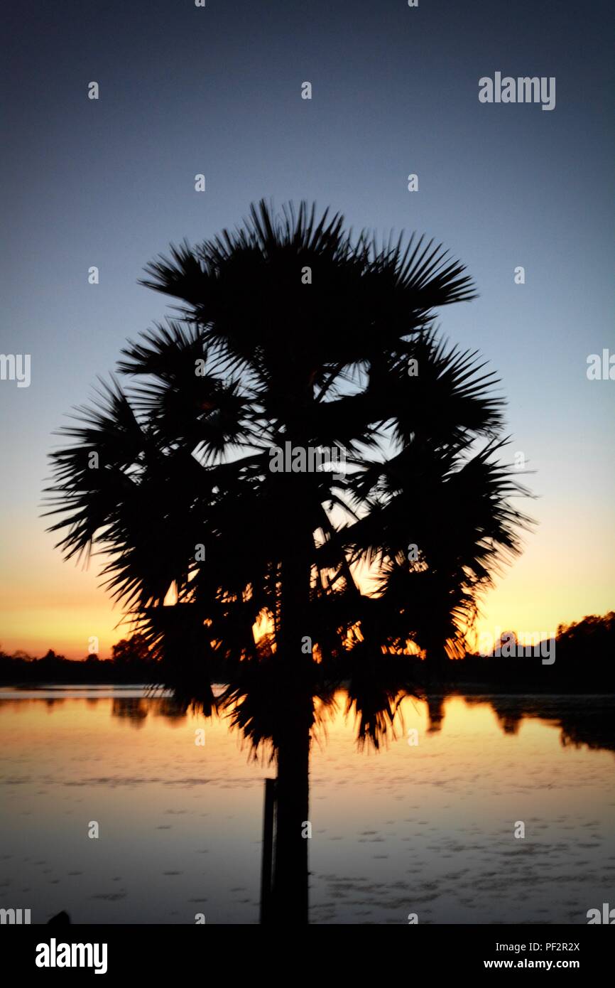 sunrise at sra srang cambodia Stock Photo