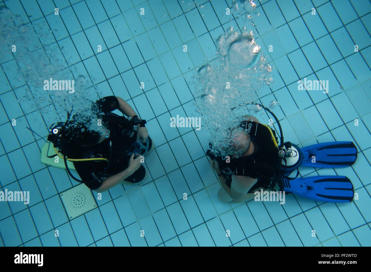 Erhard Bauman, Ramstein Aquatic Center’s Professional Association of Driving Instructors open water certification instructor, teaches a student during hands-on training July 7, 2016, at Ramstein Air Base, Germany. The course includes four days of classroom and hands-on application in a pool and two days in open water at a lake. (U.S. Air Force photo/Airman 1st Class Tryphena Mayhugh) Stock Photo