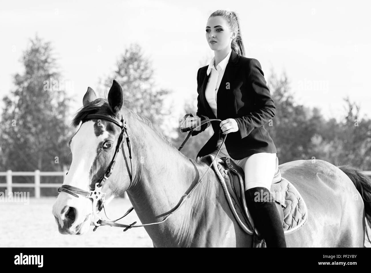 Rider elegant woman riding her horse outside Stock Photo Alamy