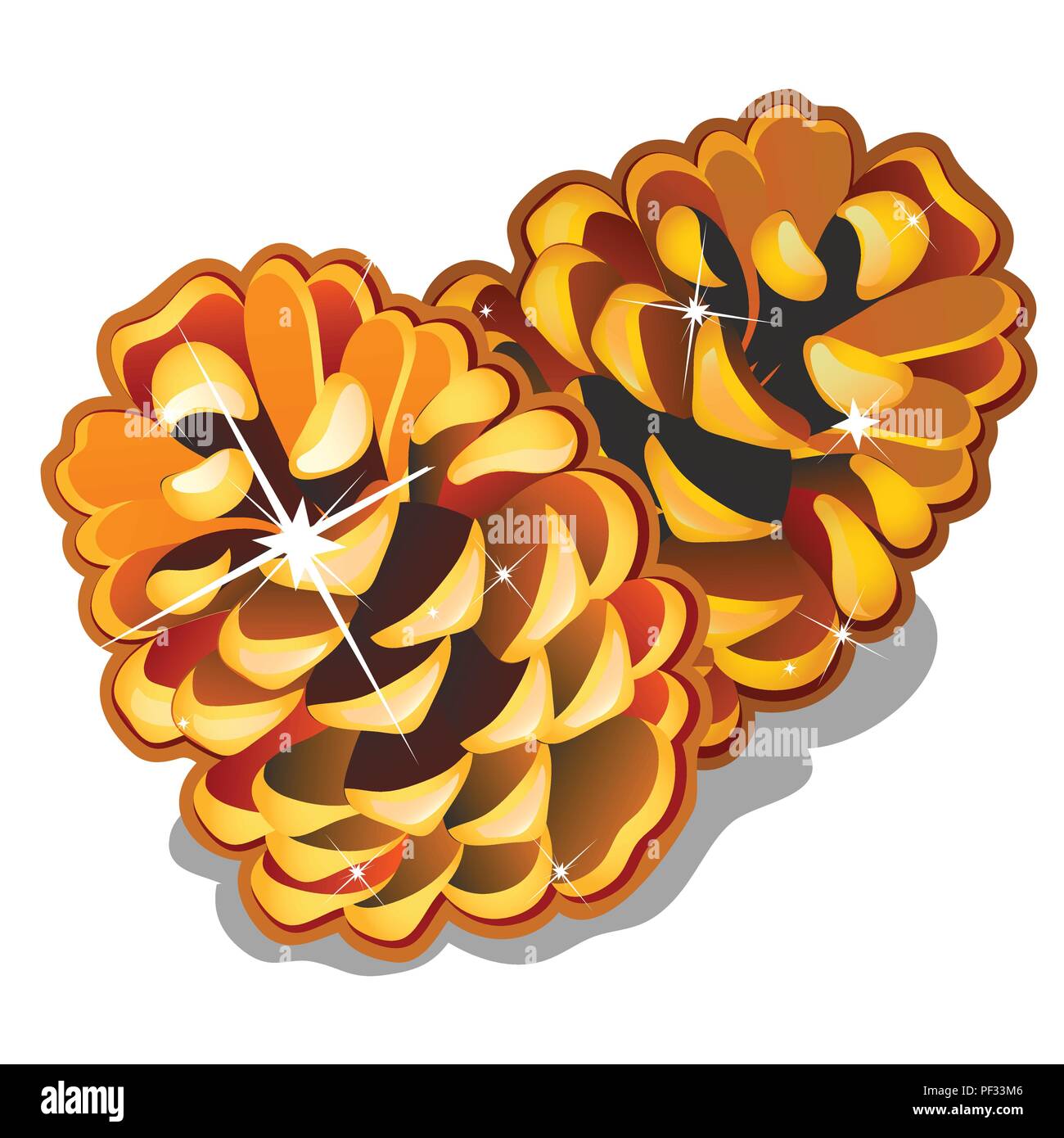 Two golden pinecones isolated on white background. The attributes of