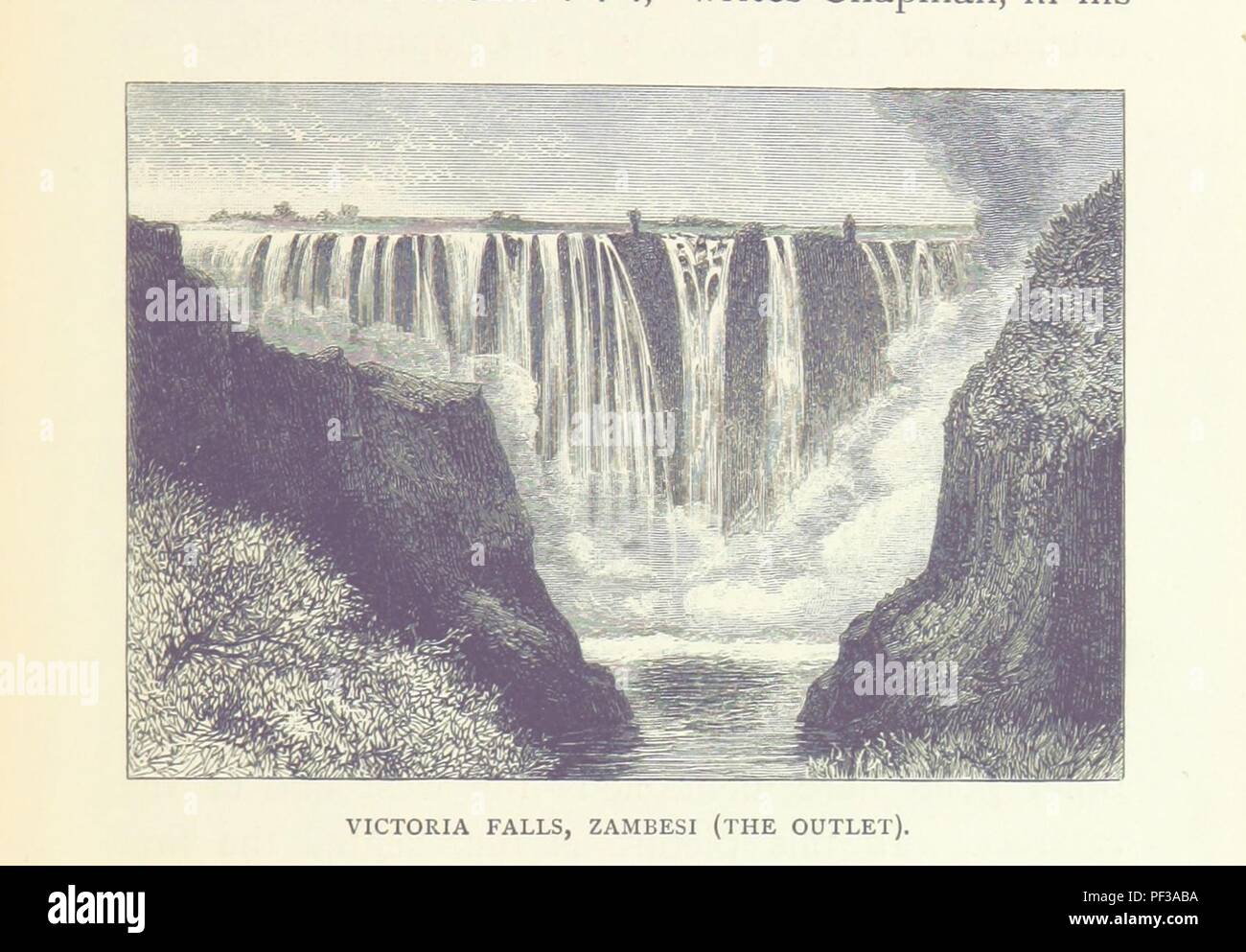 Image  from page 331 of 'Matabele Land and the Victoria Falls ... Edited by C. G. Oates ... Second edition. [With appendices by G. Rolleston, R. B. Sharpe, J. O. Westwood, and R. A. Rolfe.]' . Stock Photo