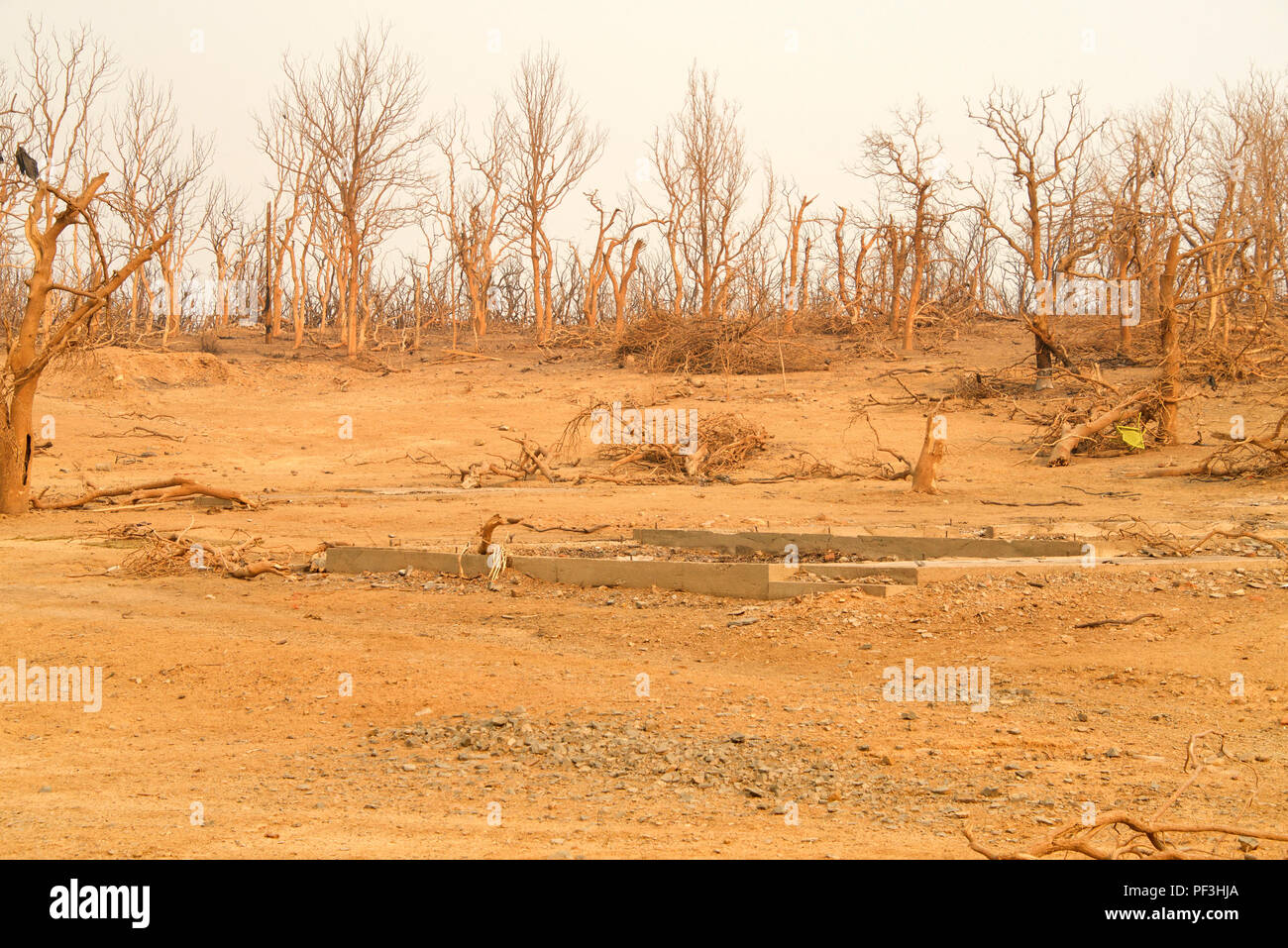 Building burned to foundation and all debris carried away by the fire tornado during the wildfire fire storm in Redding. Smoke and ash in the air as t Stock Photo