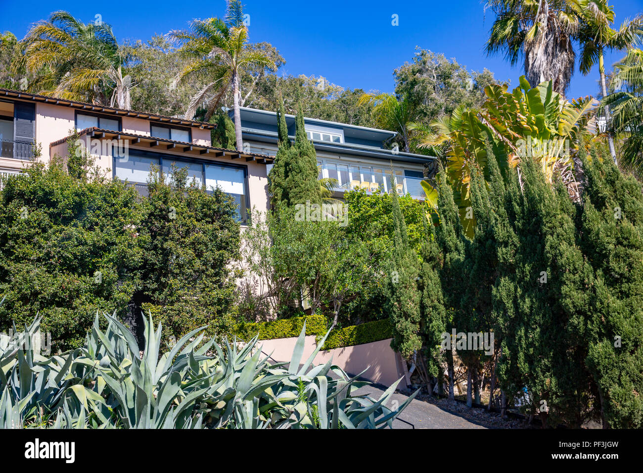 Whale Beach and its homes property, Whale beach is a suburb of Sydney on the northern beaches