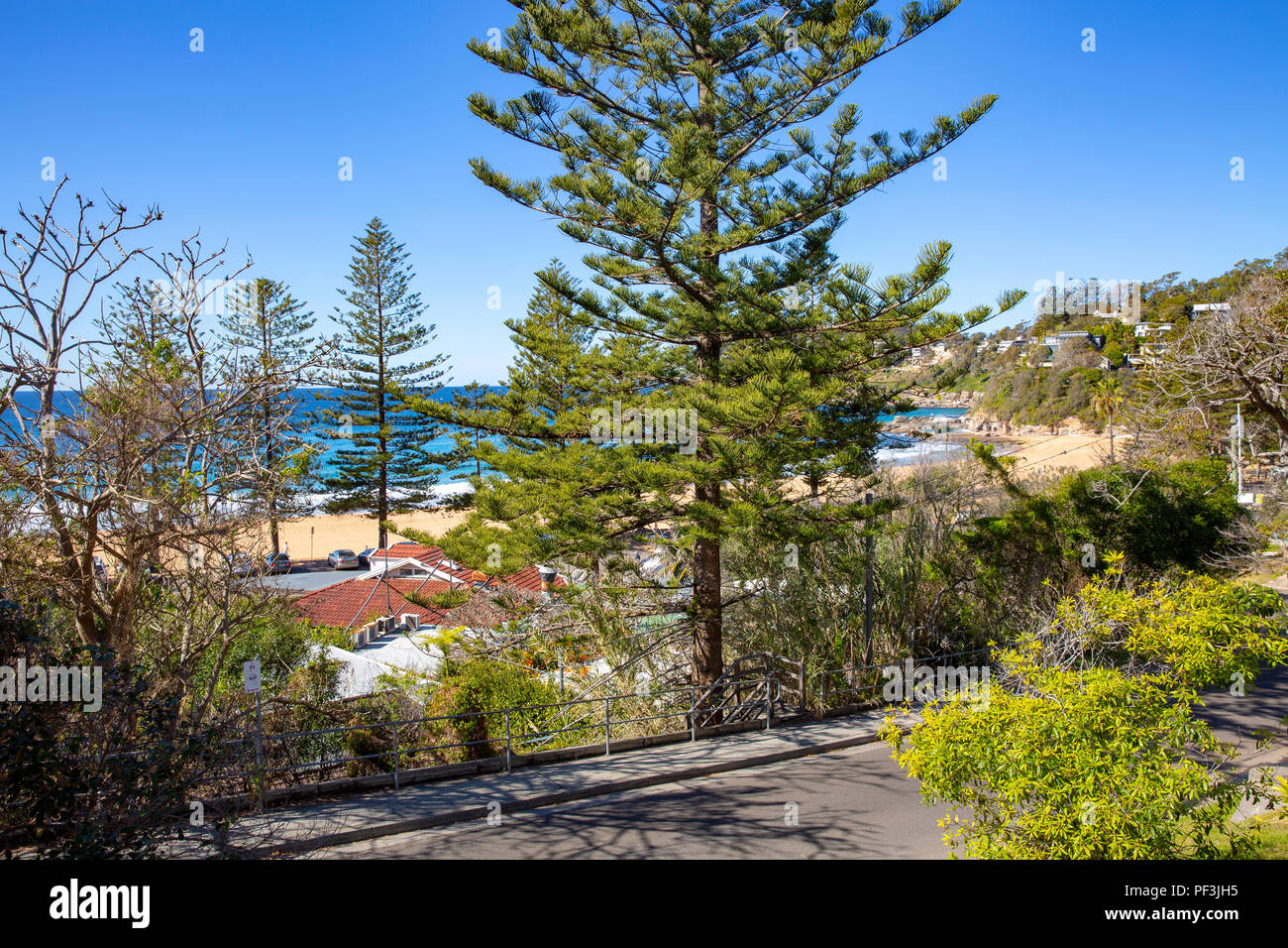 Whale Beach and its homes property, Whale beach is a suburb of Sydney on the northern beaches