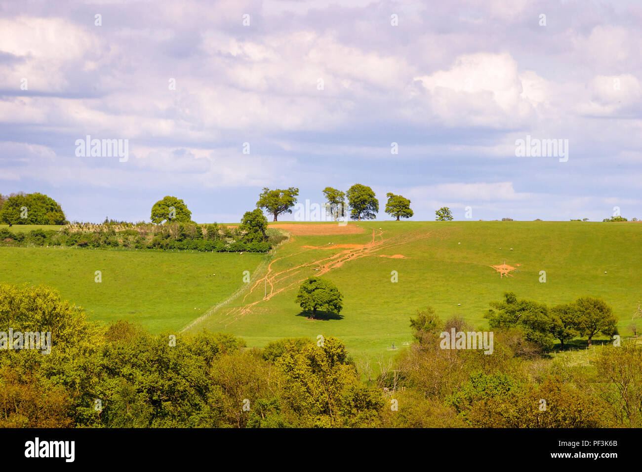 Panoramic view of unspoilt rural fields and farmland on Surrey Downs near Godalming, Surrey, UK in spring on a sunny day with fluffy white clouds Stock Photo