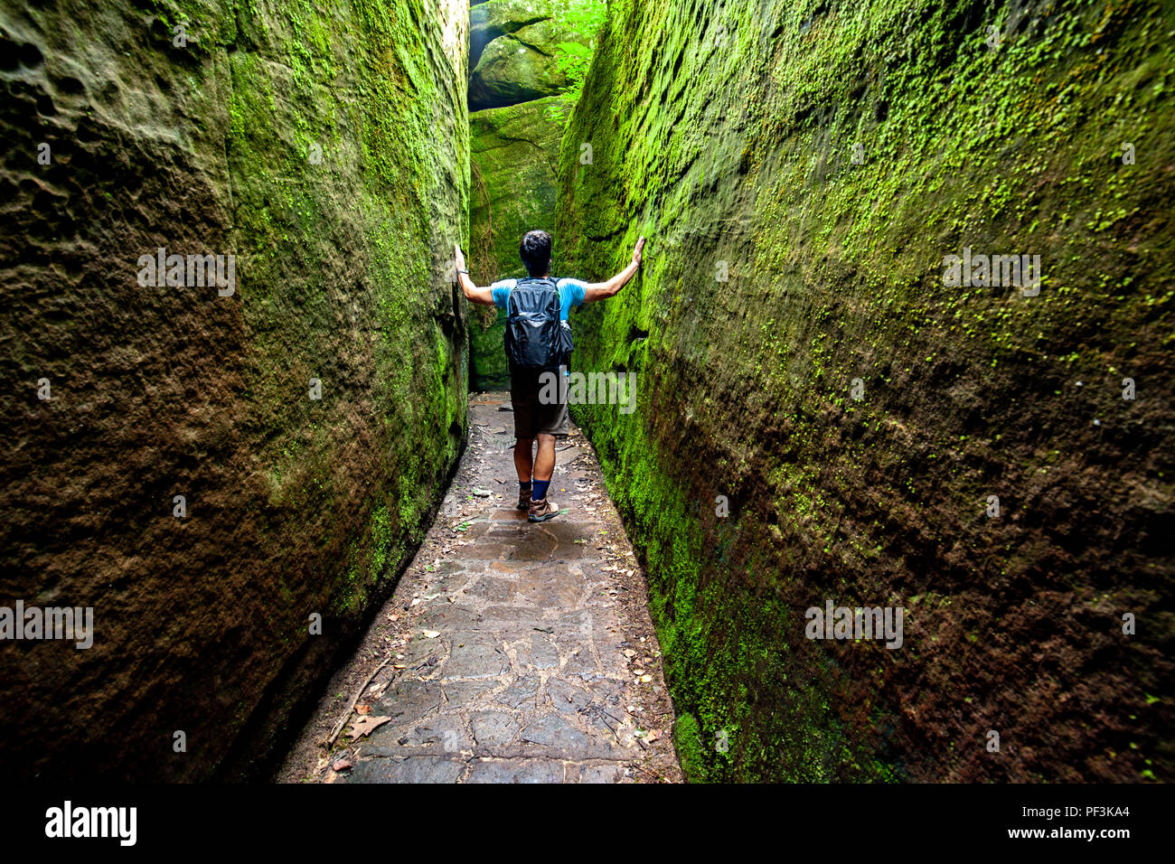 Rim Rock National Recreation Trail, Shawnee National Forest, Illinois