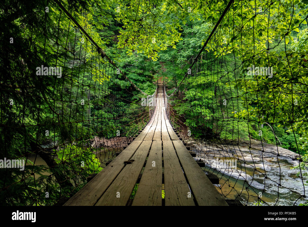 Cane Creek Suspension Bridge Fall Creek Falls State Park, Spencer, Tennessee, USA Stock Photo