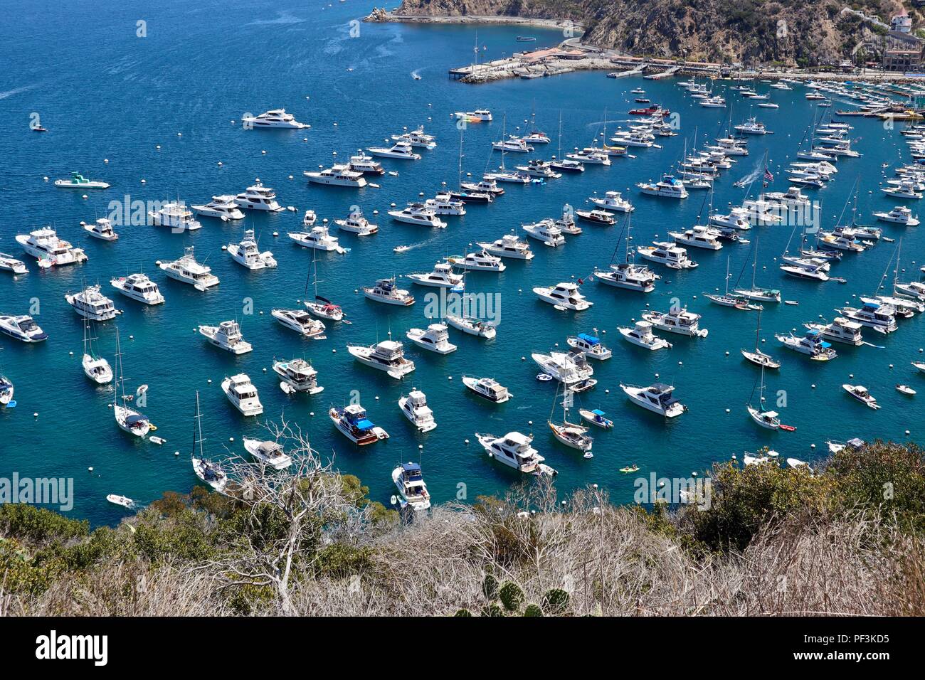Santa catalina island hires stock photography and images Alamy