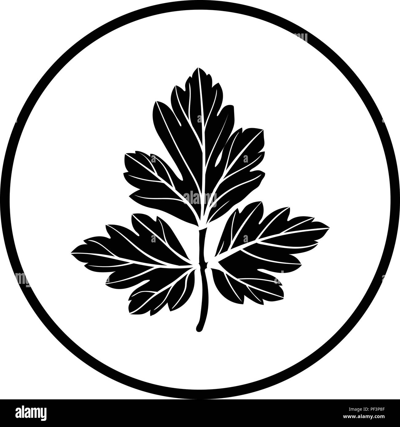 Parsley icon. Thin circle design. Vector illustration. Stock Vector