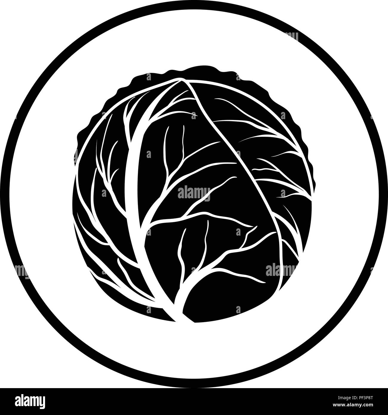 Cabbage icon. Thin circle design. Vector illustration Stock Vector ...