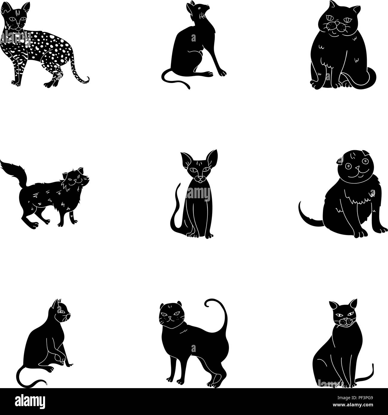 bald,black,cat,cats,chest,collection,curly,different,ears,egyptian,evil,fat,good,gray,icon,illustration,isolated,leopard,logo,neck,object,one,picture,set,sign,sphinx,spotted,striped,symbol,tail,thin,vector,web,white, Vector Vectors , Stock Vector