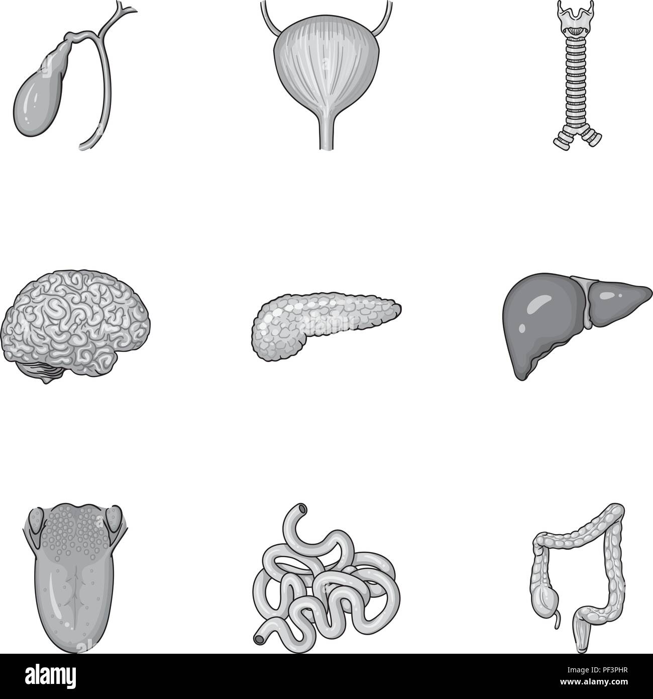 Human organs set icons in monochrome design. Big collection of human ...