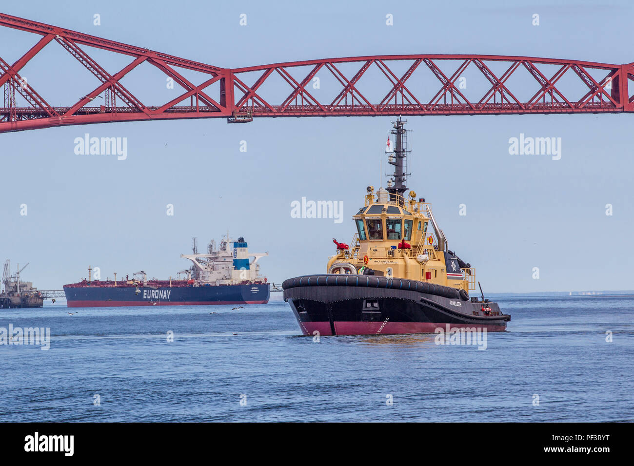 Tug Boat on River Forth Stock Photo