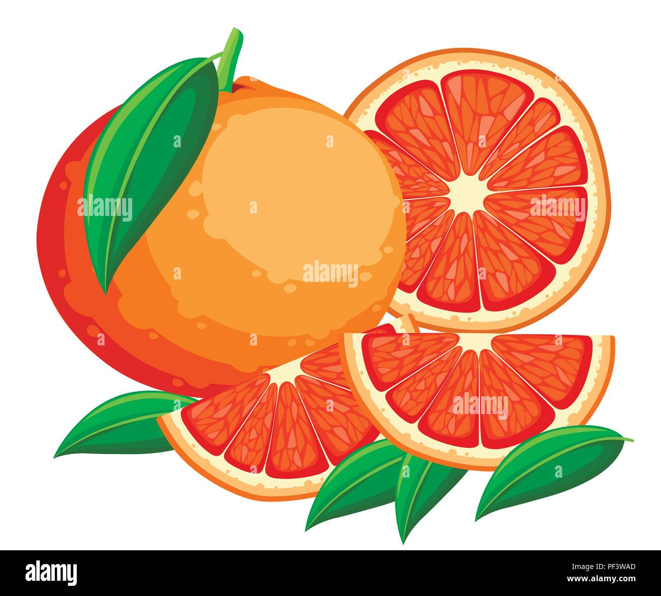 Grapefruit illustration. Citrus with green leaves and slices of