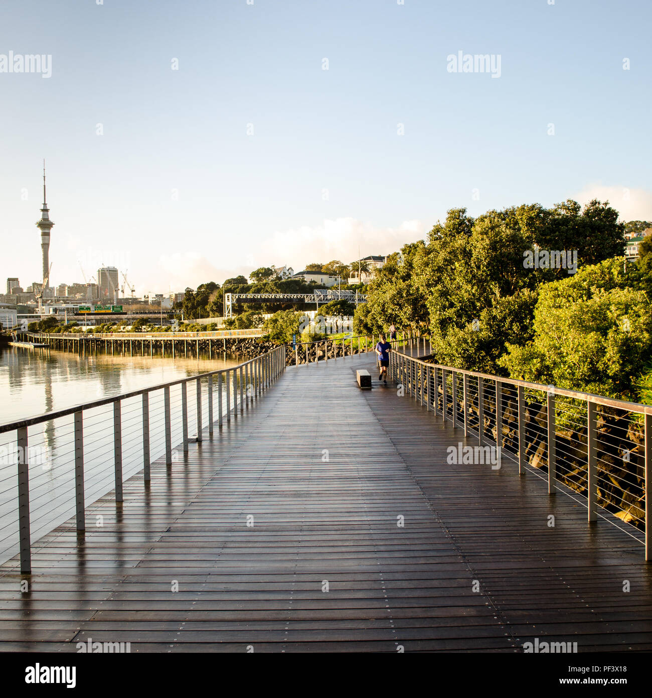 Auckalnd City New Zealand Stock Photo - Alamy