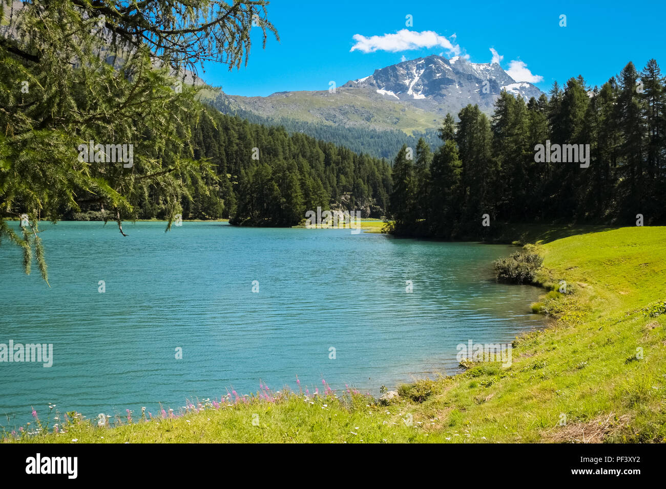 View over Lake Silvaplana (or Silvaplanersee; Lej da Silvaplauna).. Lake Silvaplana is a lake in the Upper-Engadine valley of Grisons, Switzerland Stock Photo
