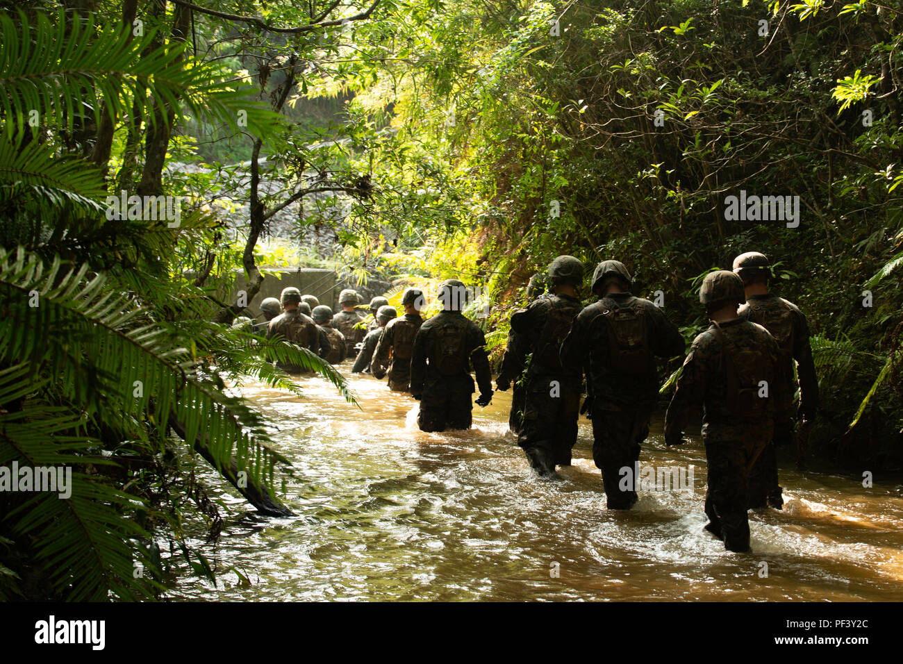 law of the jungle brunei law of the jungle brunei