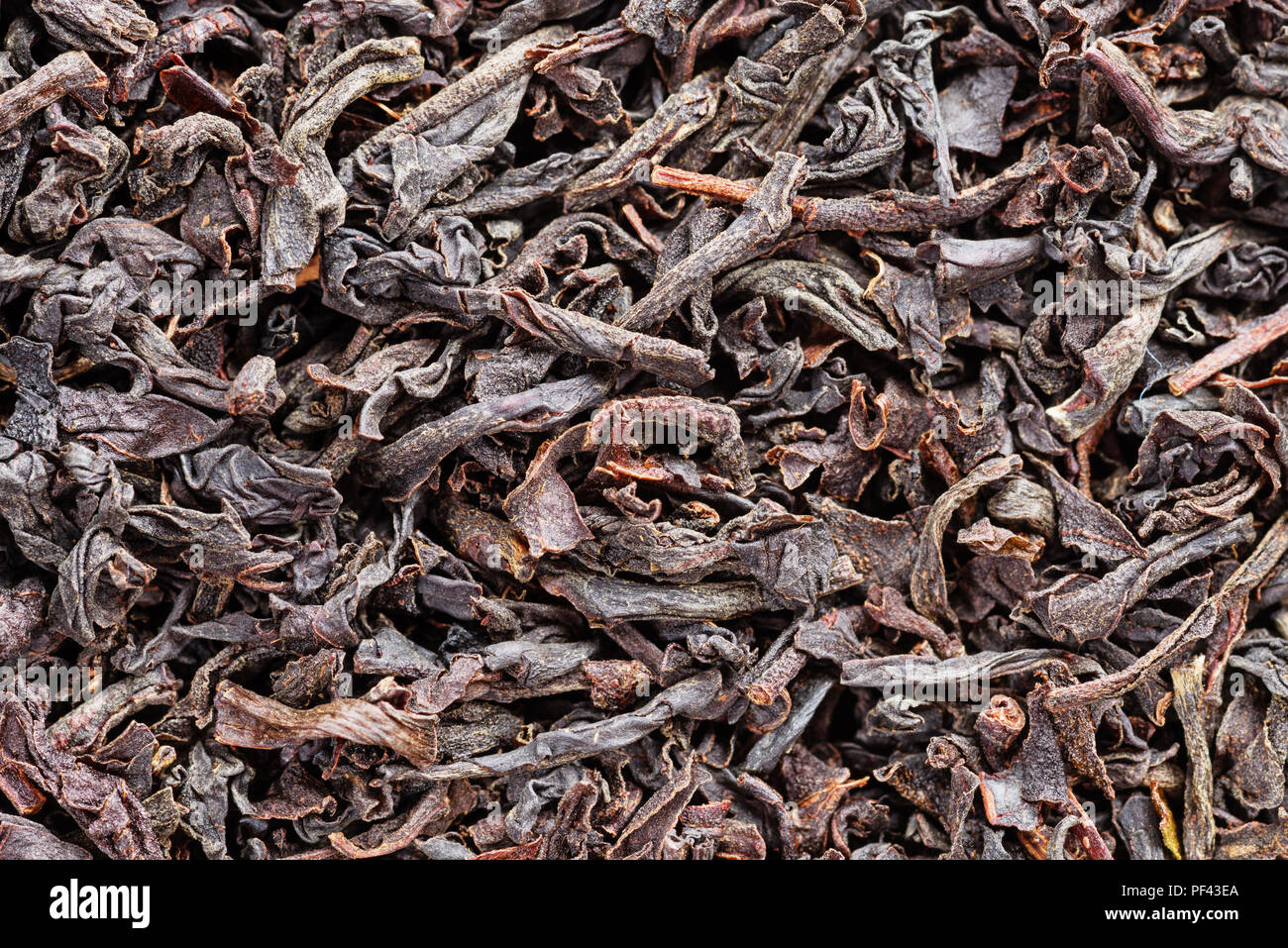 macro background image of dry loose black tea Stock Photo
