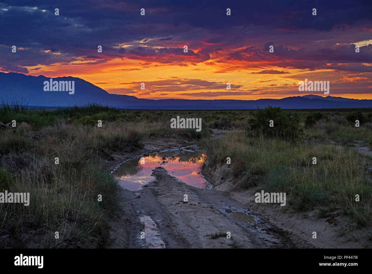 sunset over a bad dirt road in the Owens Valley reflected in a puddle Stock Photo