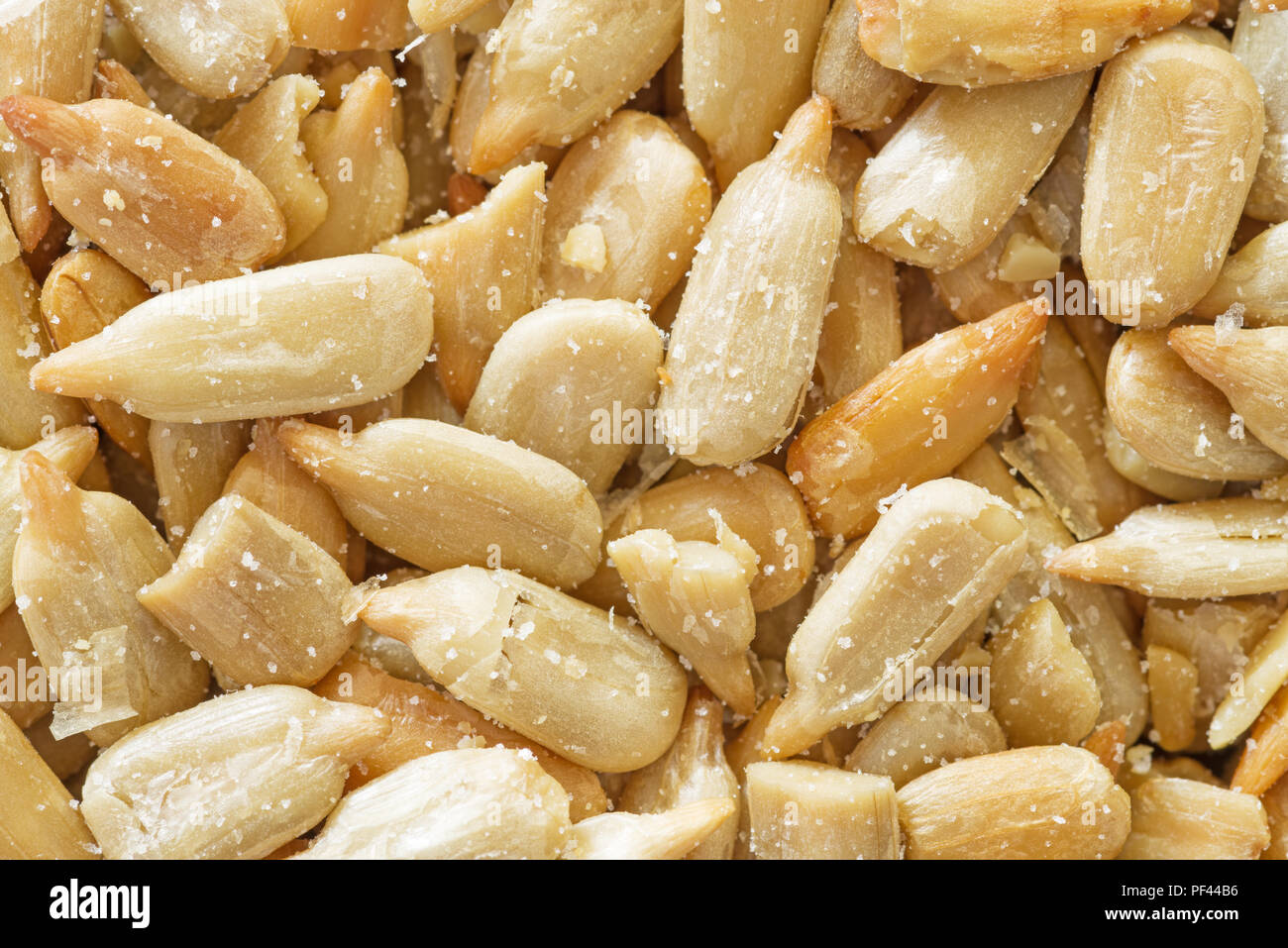 macro image of salted and roasted sunflower seeds Stock Photo Alamy