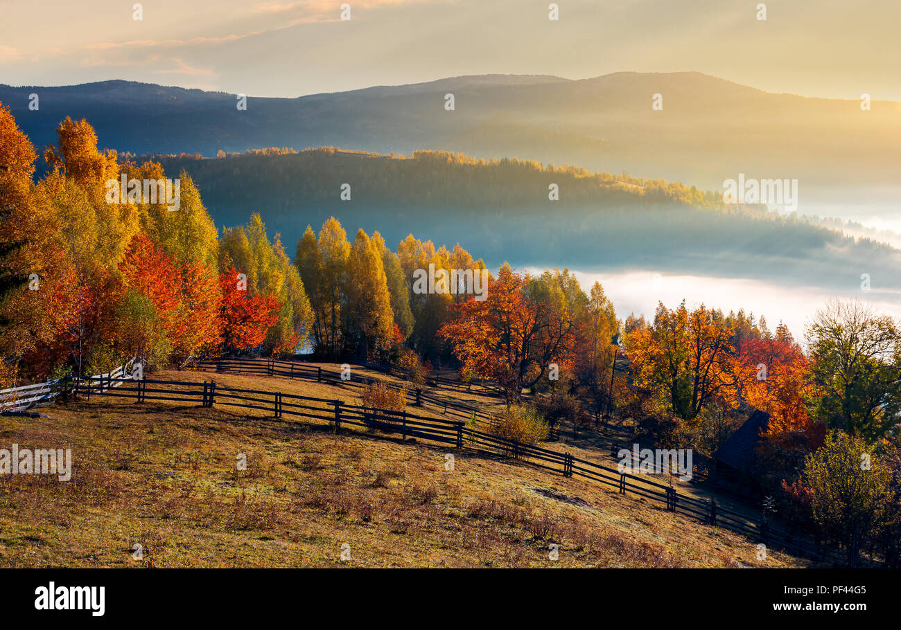 rural field and orchard in autumn at sunrise. mountainous countryside with fog in distant wally Stock Photo