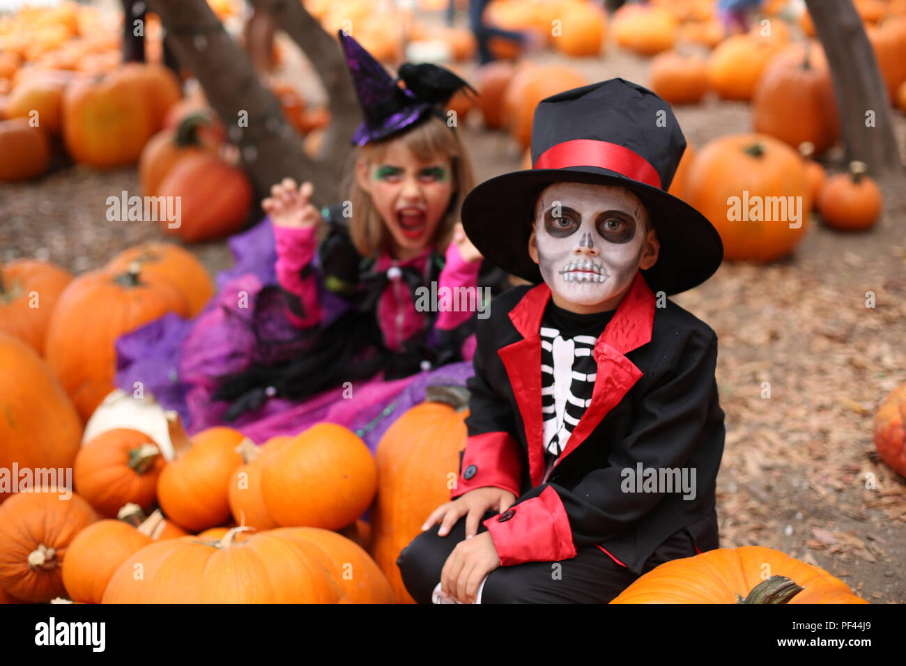 Halloween kids, Trick-or-treat. Kids wears costume of skeleton and witch for Halloween trick-or-treating party Stock Photo