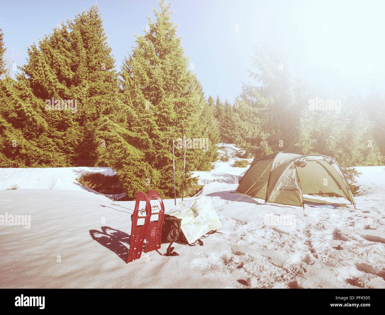 Camping In Tent In Winter Forest Snowshoes Trek In Mountains Setting 