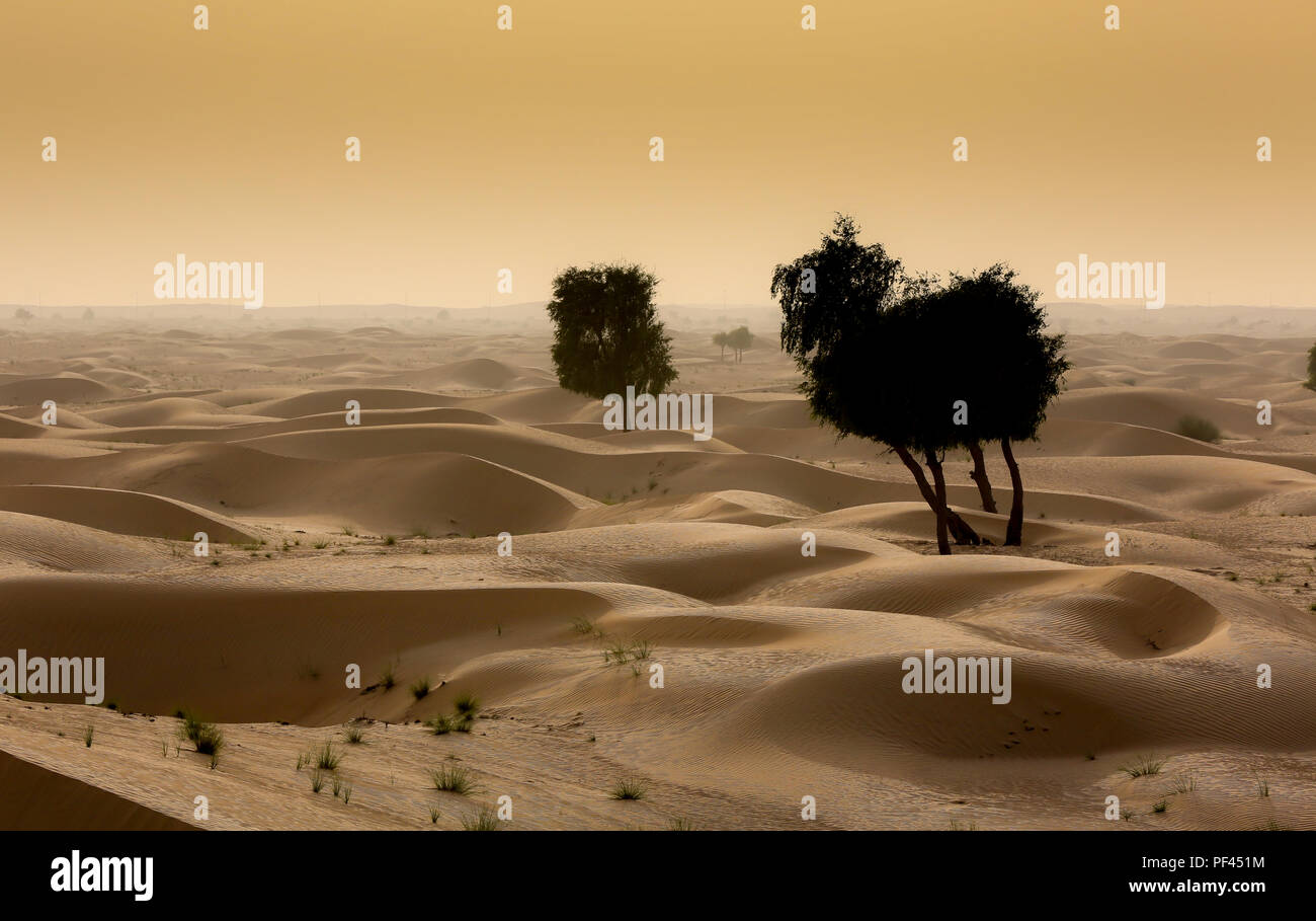 The Hot Desert of Dubai Stock Photo Alamy