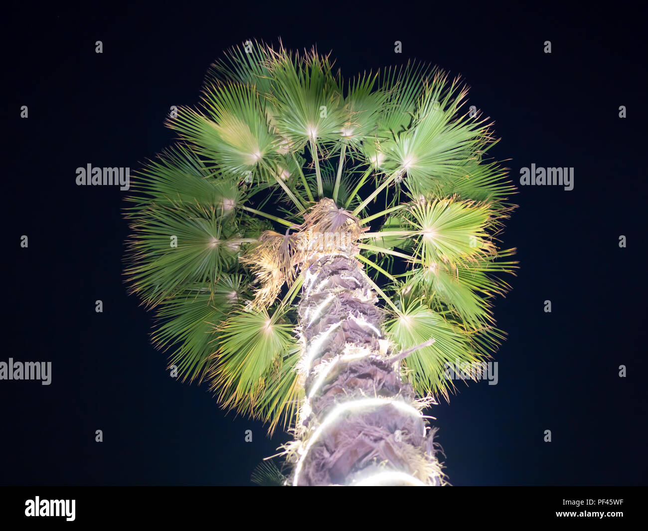 Dubai christmas hires stock photography and images Alamy