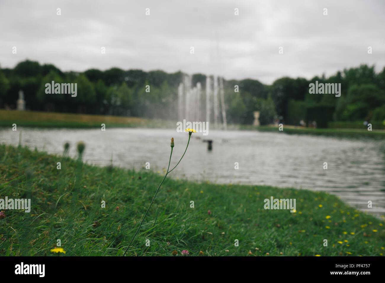 Royal gardens at the Versailles Palace in France Stock Photo