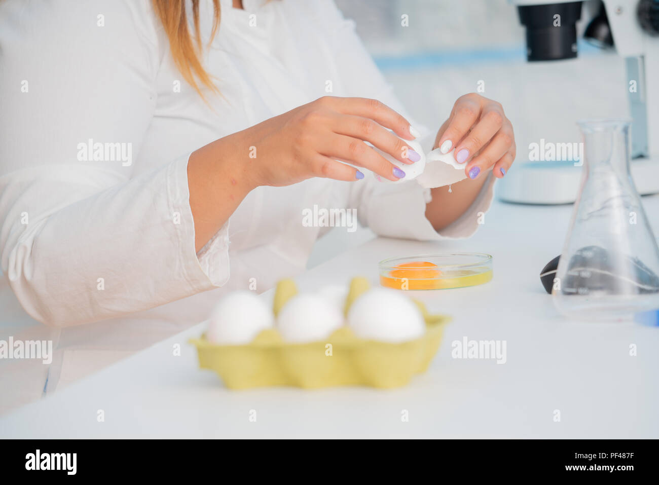 Eggs in quality inspection lab Stock Photo Alamy