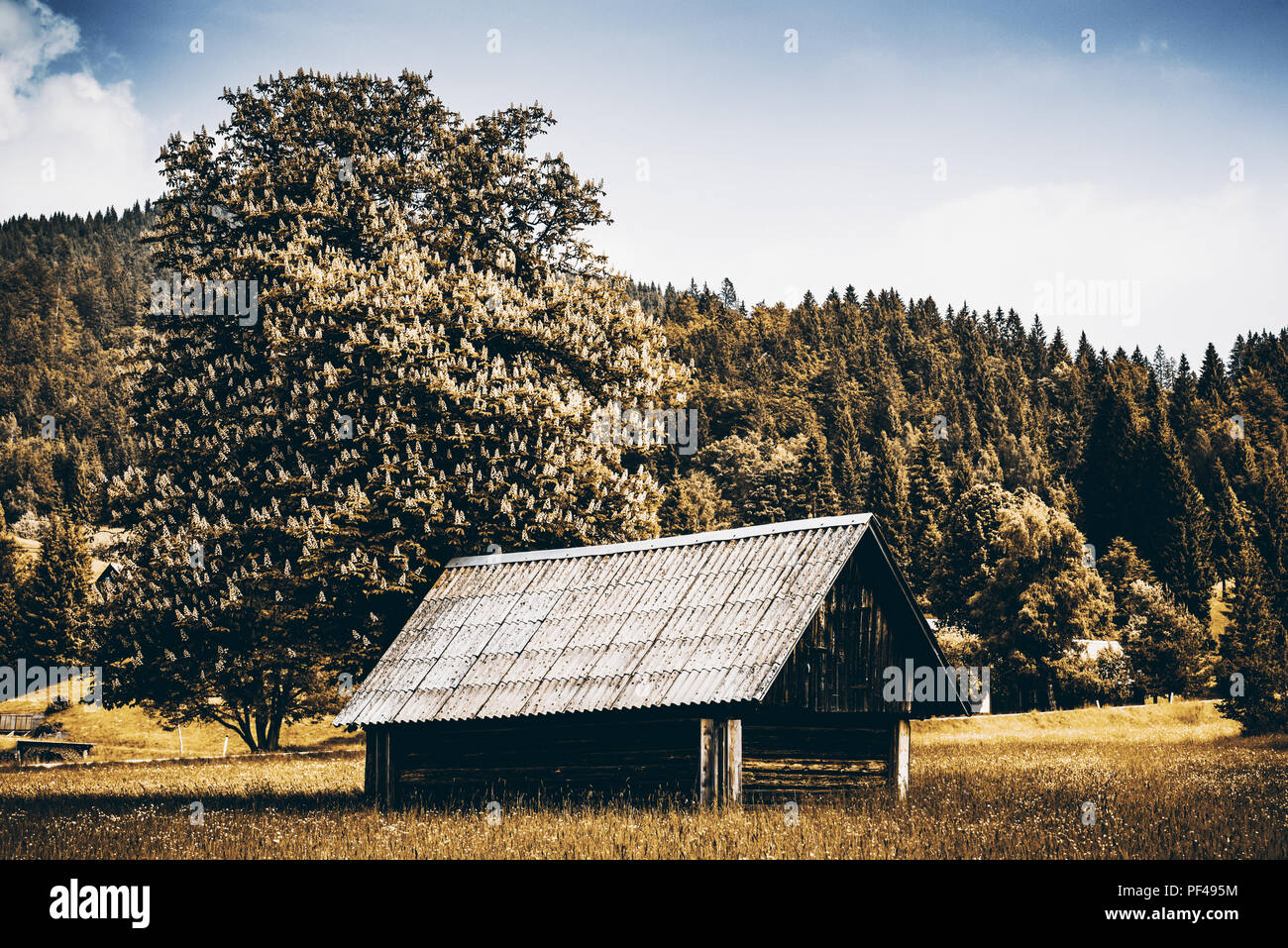 Lonely wooden shepherds hut at autumn under the tree Stock Photo - Alamy