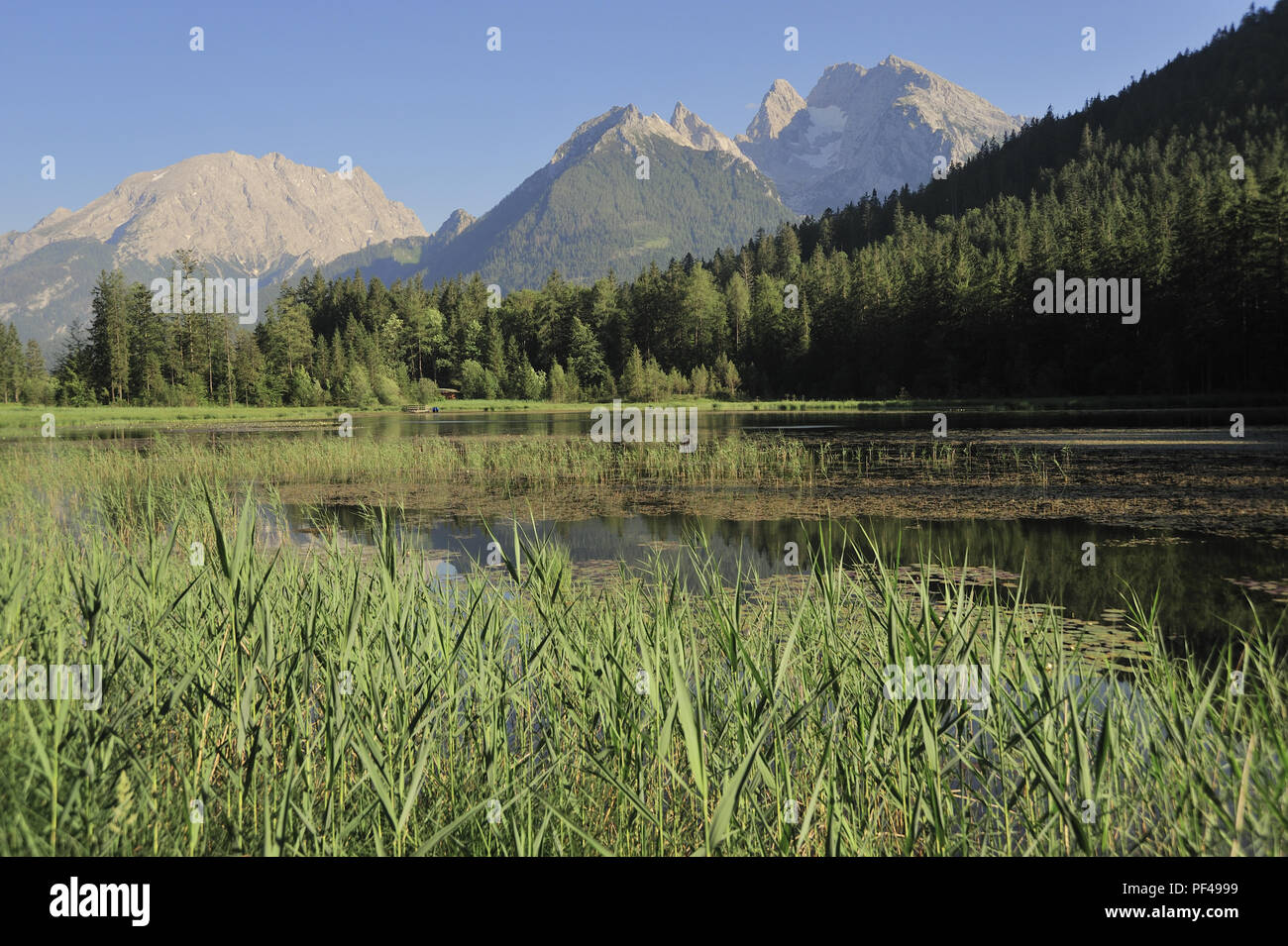 Blick über den Taubensee auf den Hochkalter, Berchtesgadener Land, Oberbayern, Bayern, Deutschland, Europa | view across the Taubensee to Mount Hochka Stock Photo