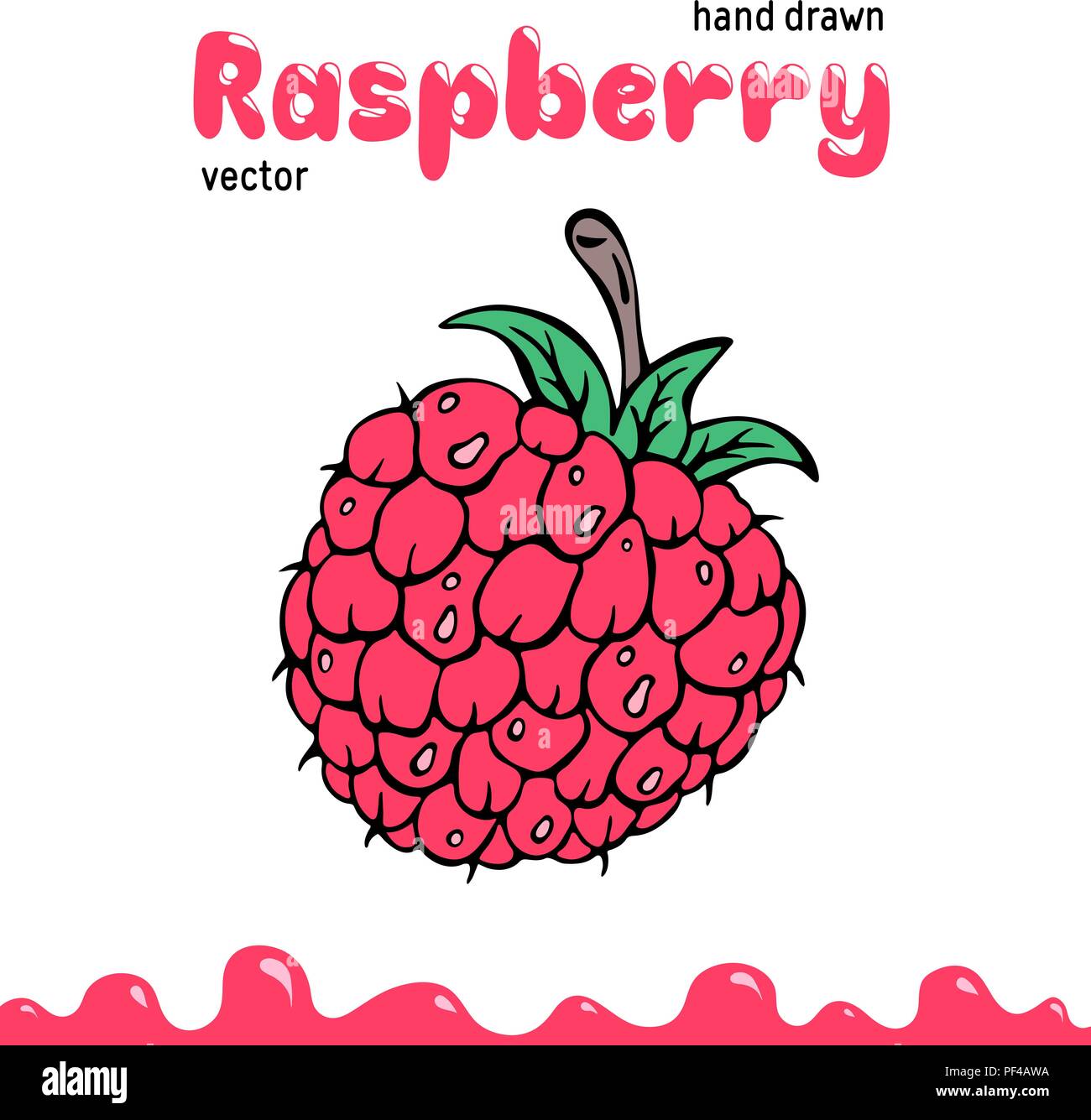Raspberry vector illustration, berry clipart. Cartoon raspberry vector  illustration for logo, design. Colored raspberry vector illustration for  menu, package. Doodle berry clipart, raspberry isolated Stock Vector Image  & Art - Alamy