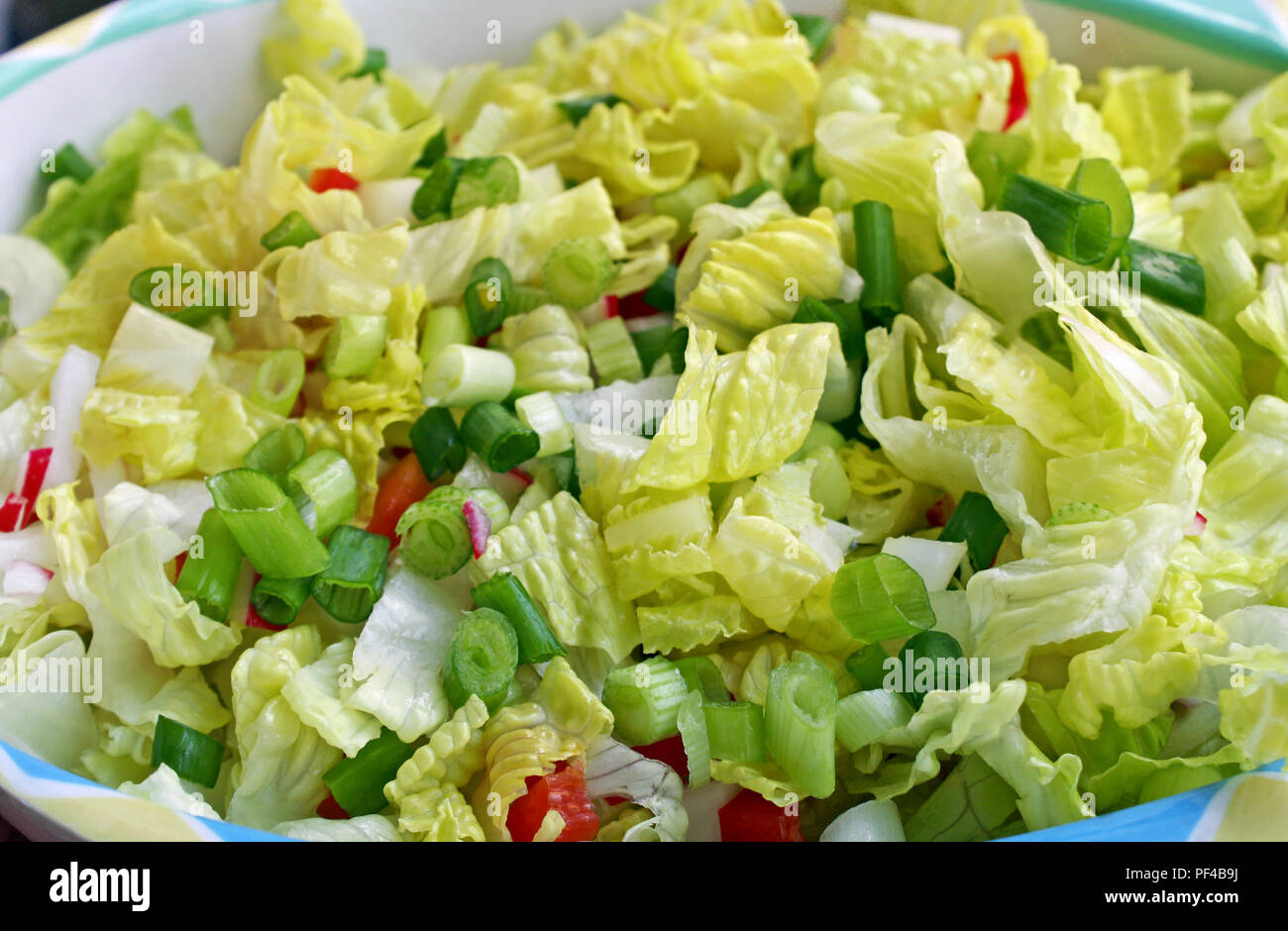 Fresh garden salad with diced red pepper, green onions and chopped romaine lettuce Stock Photo