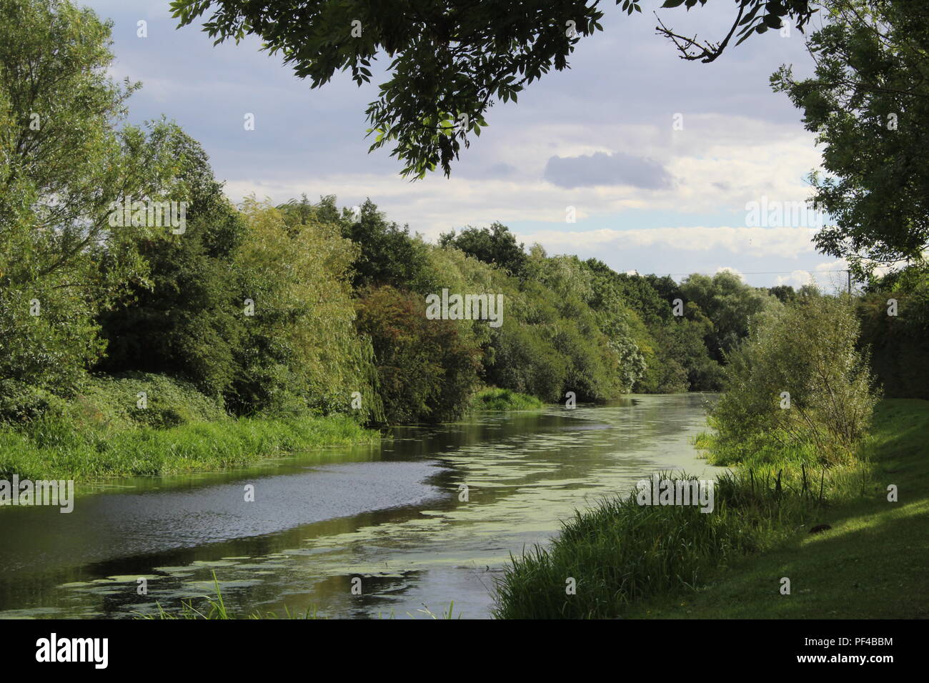 Selby Canal viewed from footpath towards Brayton Bridge North Yorkshire