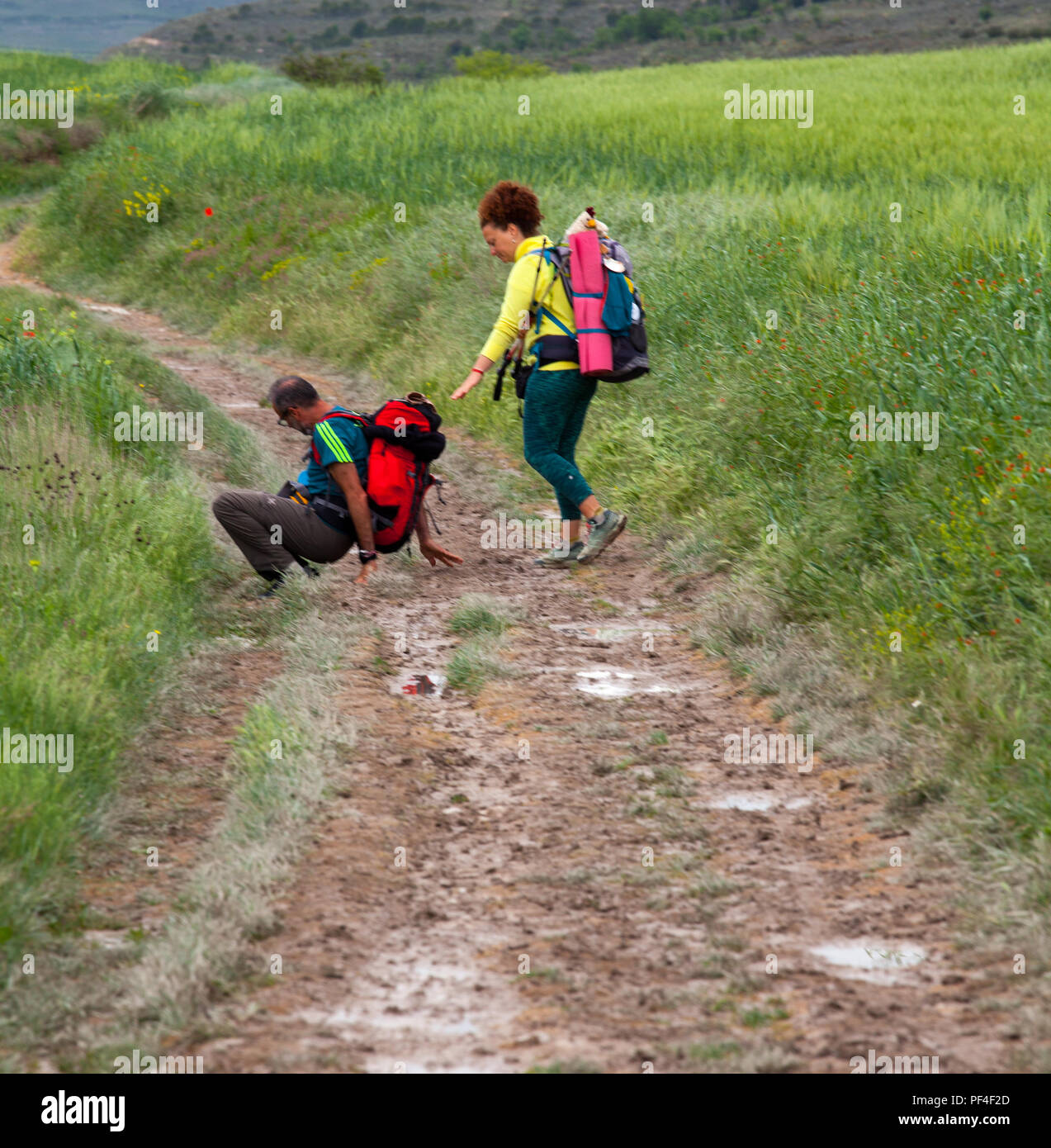 Pilgrim slipped fell over in mud while walking the Spanish Camino de Santiago the way of St James pilgrimage route Spain Stock Photo