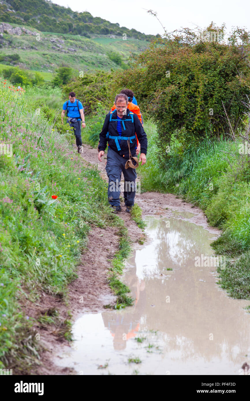 Pilgrims walking through mud and water while walking the Camino de Santiago the way of St James pilgrimage route Spain Stock Photo