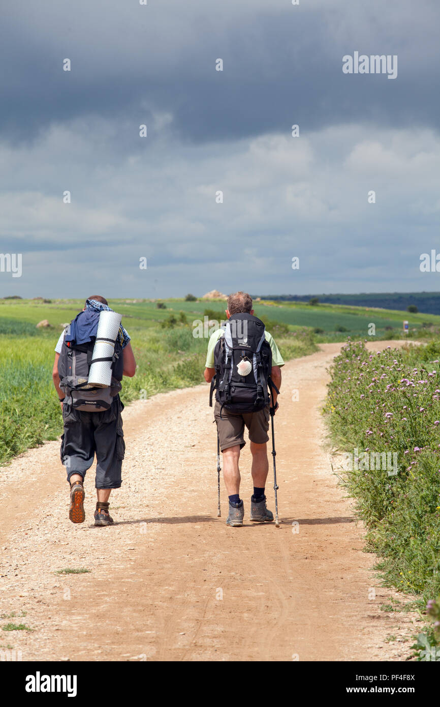 Pilgrims walking the  Spanish pilgrim route the Camino de Santiago the way of St James near Hontanas Spain Stock Photo